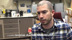 Our Cities May Be Making Birds Smarter