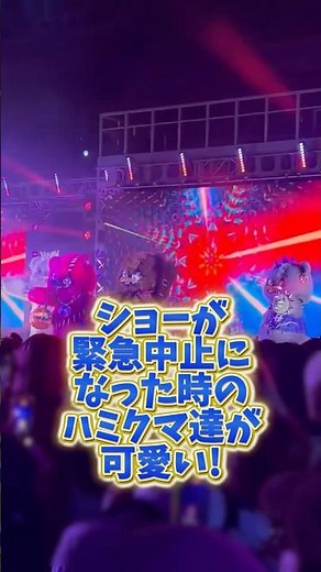 【USJハロウィン】雨で中止になった時のハミクマ達の反応wみんなどう思う？🤣 #USJ #usjハロウィン #ユニバゾンビ #ホラーナイト2025 #shorts