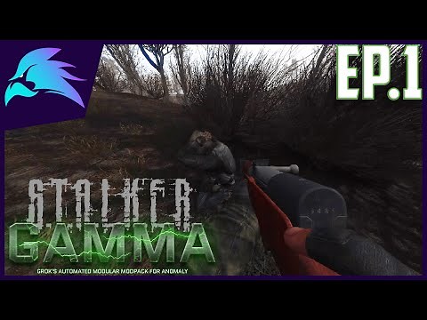 Stalker Gamma Ep.1-The Best Mod Pack Ever