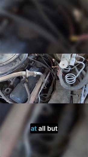 Will it Smoke? Powering Up 1981 Caprice After 10 Years!