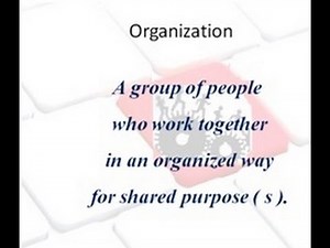 what is an organization ?