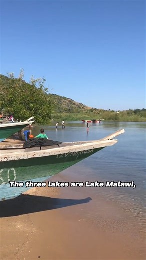 12K views · 77 reactions | AFRICAN CICHLID AQUARIUM SETUP GUIDE If you want to set up an aquarium for these fish, the tank should be set up to resemble the conditions under which they live in their natural environment as closely as possible. There are 2 things to keep in mind: 1. Water Conditions: pH Value, Hardness, Hardness 2. Aquarium Settings and Substrate:Rocky Arrangements, Sandy Substrate Learn more：https://ssur.cc/MGV7Cjwo | Hygger Aquarium | Facebook