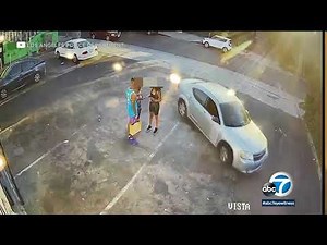 Would-be robbers wounded when victim fires back in Melrose shootout | ABC7