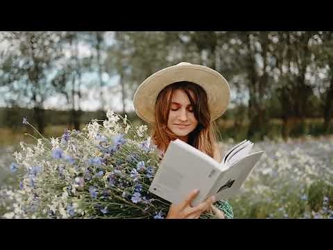 30 Minutes Relaxing Background Music | Peaceful Harmony Music | No Copyright