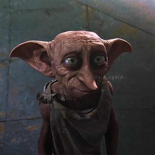 Happy Dobby's Fun Moments with Friends in Harry Potter