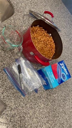 Fresh Beans Preservation Tips: Freezing and Storing Guide