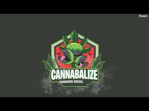 A Look Inside Crafting a Professional Animated Logo Intro