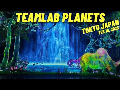 My experience at TeamLab Planets in Tokyo Japan & Walk-through February 2025 | 2/10/2025