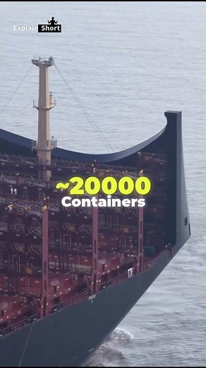 World’s Largest Shipping Company – MSC⛴️🌎 #facts #explainshort #MSC #sea #ShippingCompany #CargoShip