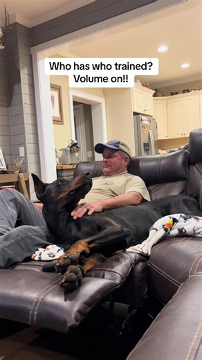 Doberman has dad trained! | The Dobie Team