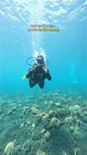 Never dive before, don’t worry! Come and do Discover Scuba Diving in Bali. WA: +6287861215832 #bali
