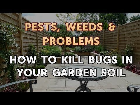 How to Kill Bugs in Your Garden Soil