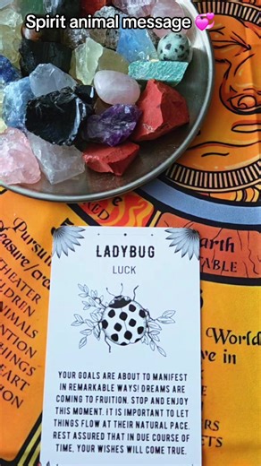 🌟 Daily Spirit Animal Message: Ladybug Luck 🌟 Today the ladybug appears to remind you that good fortune is already on its way. This tiny messenger carries big energy joy, protection, and unexpected blessings. Slow down, breathe, and trust that things are aligning for your highest good. Let today be light, hopeful, and filled with gratitude. ✨🐞 Affirmation: “I welcome luck, guidance, and gentle miracles into my day.” #LadybugMessage #SpiritAnimal #DailyGuidance #LadybugLuck #GoodFortune
