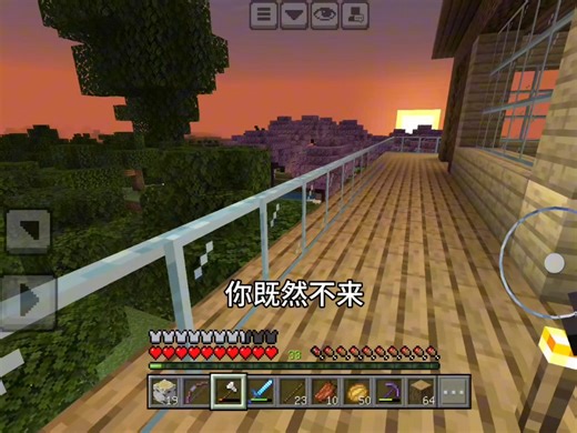 我的世界生存1-33