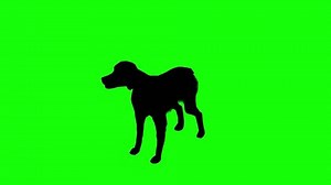 Silhouette of a brittany dog barking on green screen, perspective view. Animal silhouettes, seamless loop 3D animation
