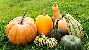 Las calabazas, diversas..., y todas ricas en sabor y salud