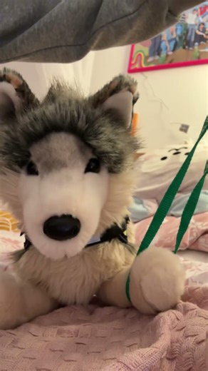 Cool title #essa #funny #kandi #helpmemakethismakesense