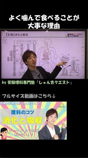 【理科のコツ「消化と吸収」】よく噛んで食べなさいの“理科的な理由”をガチで解説してみた【受験理科専門塾しゅん吉クエスト】