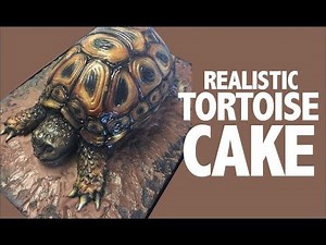 How to make a tortoise CAKE