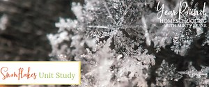 Snowflakes Unit Study