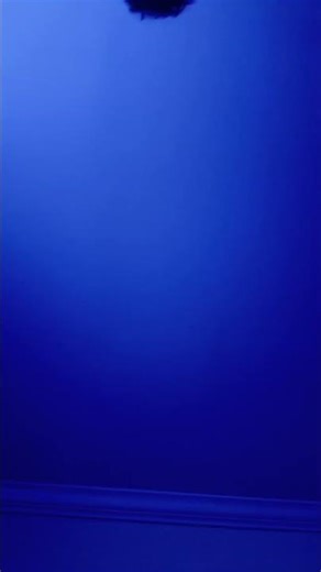 7 de abril de 2026