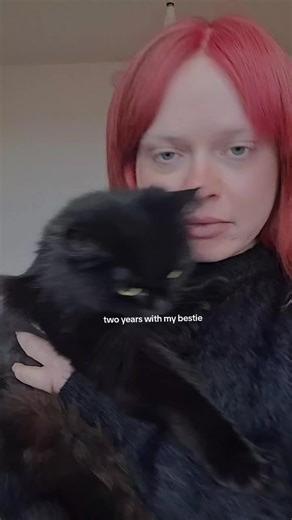 ALICE (@projectalicex)’s videos with On Melancholy Hill - Gorillaz