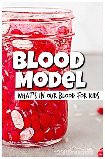Blood for Kids - Activity to learn about the Human Body