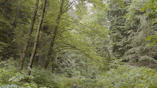 3 comments | Parks are more than just green spaces. They are the heart of our communities, where we connect, play and celebrate. Learn more about how we are improving our parks to keep up with our growing city. We ♥ Burnaby Parks! Burnaby.ca/WeLoveBurnabyParks | City of Burnaby - Local Government | Facebook