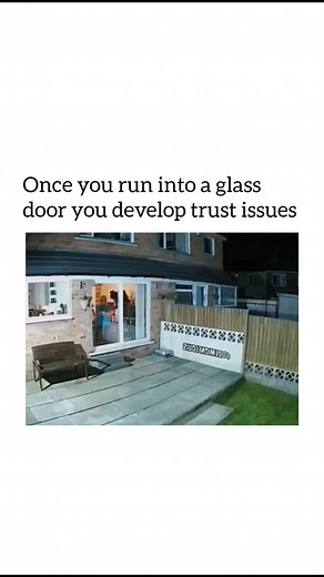 DOGGOS BLISS | Bro is learning from his past 😂 | Instagram