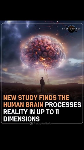 易 Your brain doesn’t just think—it geometrizes: researchers found neural networks forming shapes in as many as 11 dimensions. | Naturallightbeing NaturallightBeingsrus | Facebook