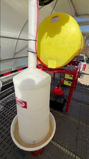 Loading Chicken Feed onto a Blue Sky Layer Wagon for 700 Chickens