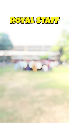 Royal Computer Institute on Instagram: "ROYAL STAFF ENTRY"