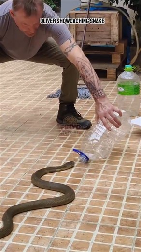 Savage Videos on Instagram: "A savage 🐍 🐍 🐍"