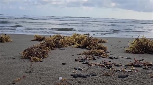 Mexican navy says petroleum tanker, natural seabed likely caused Gulf coast spill