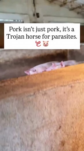 🚨 Parasites in Pork: What No One Tells You 🚨 Pork is one of the biggest carriers of parasites. 🪱 Tapeworms, flukes & Trichinella can survive cooking. 🪱 Once inside, they don’t just stay in your gut—they can spread to muscles, liver, even your brain. 🪱 Symptoms? Bloating, teeth grinding, skin rashes, fatigue. 👉 Here’s the truth: if you’re eating pork, you should be deworming. That’s why I follow a natural cleanse protocol that works in 2 steps: 1️⃣ Flush parasites out with targeted herbs (w