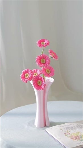 The cuteness of African daisies