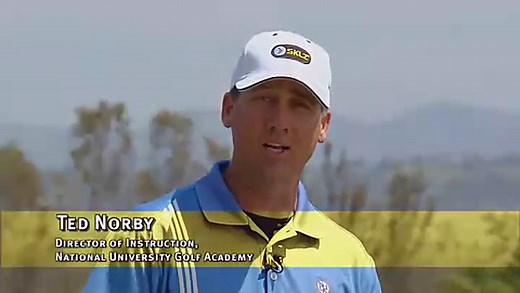 SKLZ Slice Eliminator - Swing Path Trainer