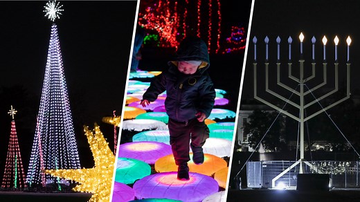 18 holiday light displays to brighten up winter nights in the DC area