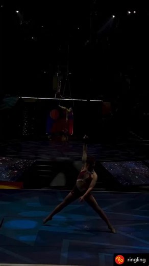 Aerial Arts Association on Instagram: "🌪️ Aerial Straps: @ringling @gemini_twins_duo @juliemarshalldoesthings #aerialartsassoc"