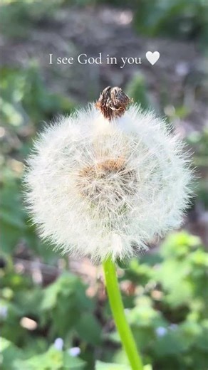 I’m here to help you heal 🤍 #ancestralregenerationprotocol