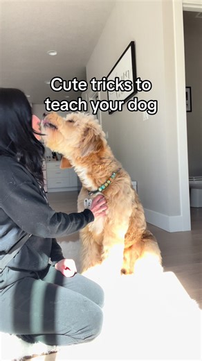 Teach Your Dog How to Say Prayers with Fun Tricks