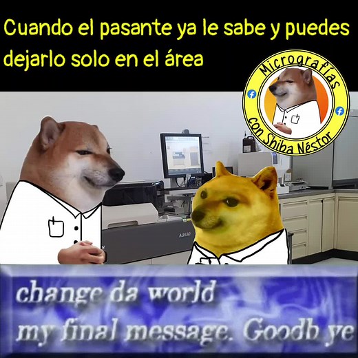 Cheems Laboratorio: La Lógica de los Chemos