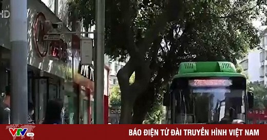 Sống xanh từ ý thức của mỗi cá nhân tại Trung Quốc