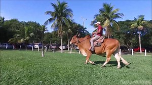 31K views · 555 reactions | WhatsApp 964280709 Splash Park...