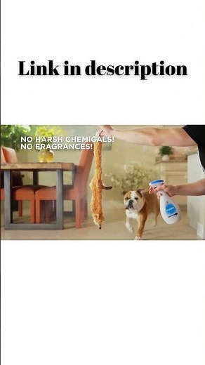 Pooph® Pet Odor Eliminator Safe, Organic & Fast Acting Odor Remover for Home, Car & Furniture