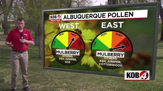 Forecast: Allergen outlook for Albuquerque