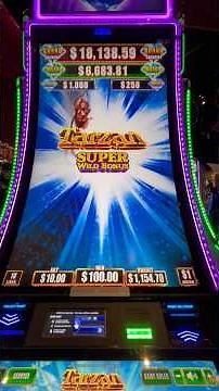 This SUPER WILD BONUS Was Absolutely INSANE