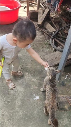 bé bắp cho con mèo ăn