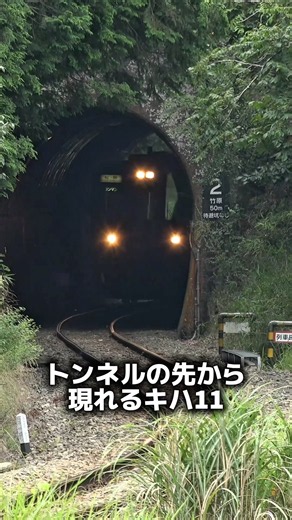 【キハ11】トンネルの闇から姿を現す 名松線のローカル列車