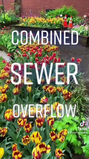 Understanding Combined Sewer Overflow in New York City
